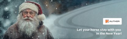 Banner_New Year 2_1920_600_smm_eng